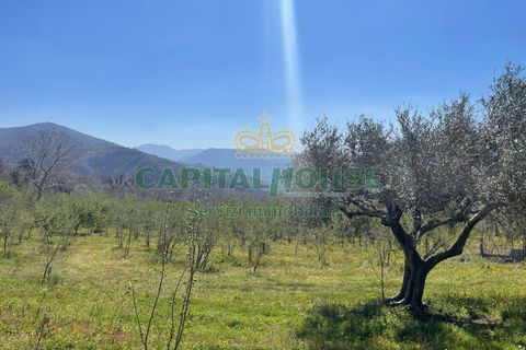 Helårsgrund i Avella, Avellino, Avella - € 150.000 | Ref: 459432 - foto 7