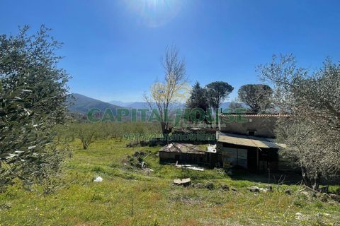 Helårsgrund i Avella, Avellino, Avella - € 150.000 | Ref: 459432 - foto 9