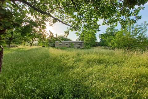 Villa i Amaseno, Frosinone, Amaseno - € 95.000 | Ref: 652 - foto 3