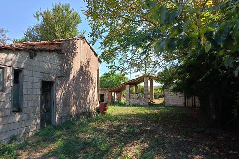 Villa i Ceccano, Frosinone, Ceccano - € 38.000 | Ref: 1026 - foto 3