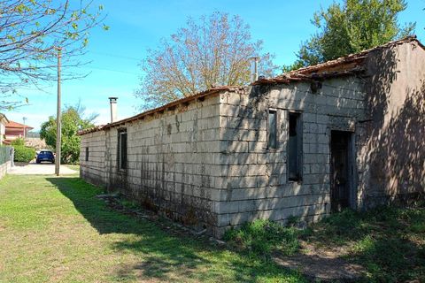 Villa i Ceccano, Frosinone, Ceccano - € 38.000 | Ref: 1026 - foto 9