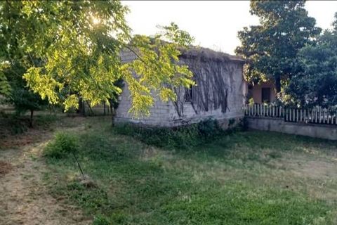 Villa i Ceccano, Frosinone, Ceccano - € 16.900 | Ref: 441 - foto 3