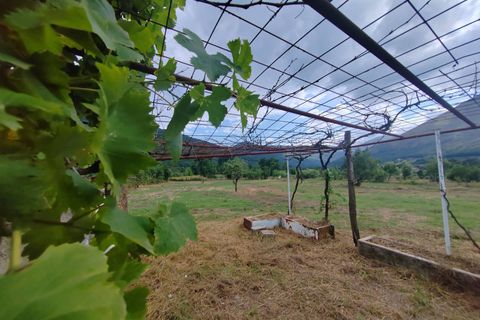 Villa a Vallecorsa, Frosinone, Vallecorsa - € 16.500 | Ref: 447 - foto 9