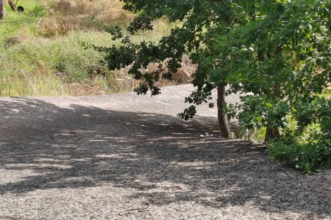 Villa a Vallecorsa, Frosinone, Vallecorsa - € 16.500 | Ref: 447 - foto 15