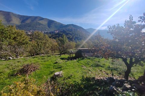 Villa a Vallecorsa, Frosinone, Vallecorsa - € 84.500 | Ref: 2009 - foto 9