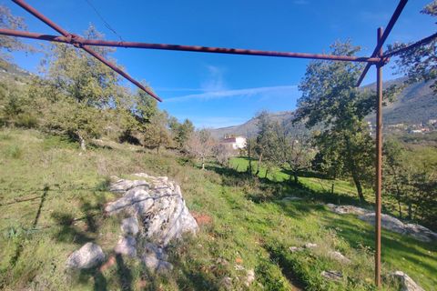 Villa a Vallecorsa, Frosinone, Vallecorsa - € 84.500 | Ref: 2009 - foto 13