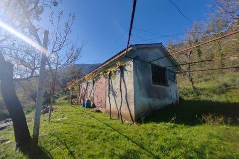 Villa a Vallecorsa, Frosinone, Vallecorsa - € 84.500 | Ref: 2009 - foto 14
