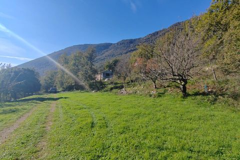Villa a Vallecorsa, Frosinone, Vallecorsa - € 84.500 | Ref: 2009 - foto 15
