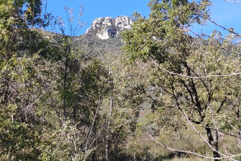Villa a Vallecorsa, Frosinone, Vallecorsa - € 84.500 | Ref: 2009 - foto 17