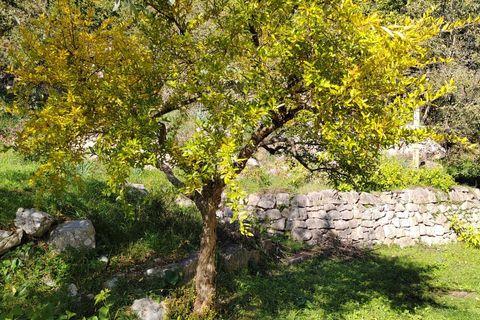Villa a Vallecorsa, Frosinone, Vallecorsa - € 84.500 | Ref: 2009 - foto 19