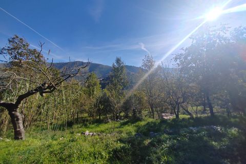 Villa a Vallecorsa, Frosinone, Vallecorsa - € 84.500 | Ref: 2009 - foto 22