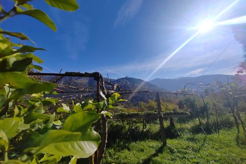 Villa a Vallecorsa, Frosinone, Vallecorsa - € 84.500 | Ref: 2009 - foto 29