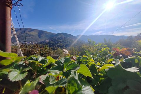 Villa a Vallecorsa, Frosinone, Vallecorsa - € 84.500 | Ref: 2009 - foto 30