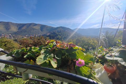 Villa a Vallecorsa, Frosinone, Vallecorsa - € 84.500 | Ref: 2009 - foto 31