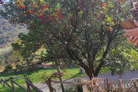 Villa a Maenza, Latina, Maenza - € 250.000 | Ref: 2014 - foto 10