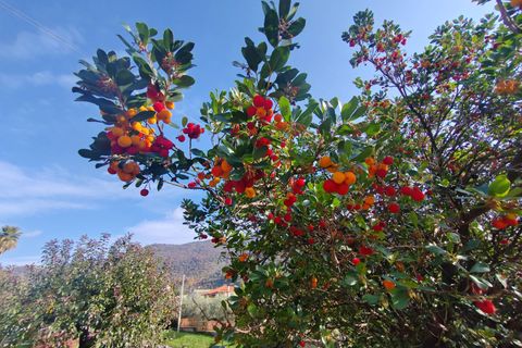 Villa a Maenza, Latina, Maenza - € 250.000 | Ref: 2014 - foto 35