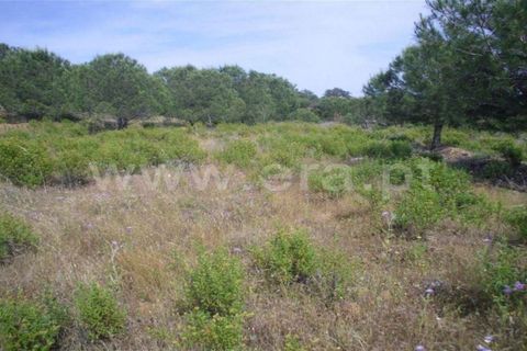 Helårsgrund i Castro Marim, Faro, Castro Marim - € 10.000 | Ref: 216180396 - foto 2