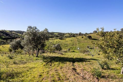 Helårsgrund i Castro Marim, Faro, Castro Marim - € 21.000 | Ref: 216190015 - foto 3