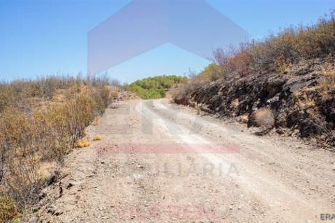 Helårsgrund i Castro Marim, Faro, Castro Marim - € 18.000 | Ref: 216140272 - foto 6