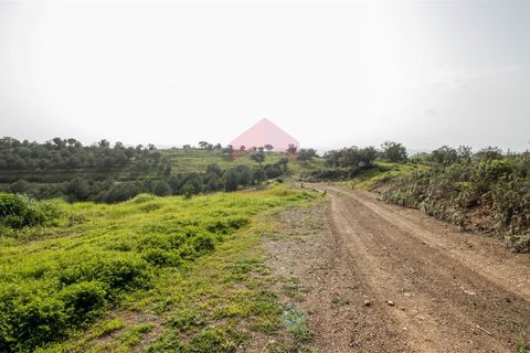 Helårsgrund i Castro Marim, Faro, Castro Marim - € 19.000 | Ref: 216210042 - foto 3