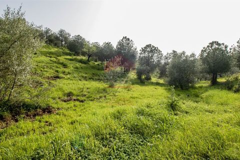 Helårsgrund i Castro Marim, Faro, Castro Marim - € 19.000 | Ref: 216210042 - foto 7