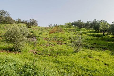 Helårsgrund i Castro Marim, Faro, Castro Marim - € 19.000 | Ref: 216210042 - foto 8