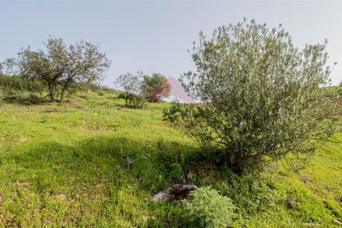 Helårsgrund i Castro Marim, Faro, Castro Marim - € 19.000 | Ref: 216210042 - foto 9