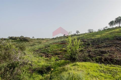 Helårsgrund i Castro Marim, Faro, Castro Marim - € 19.000 | Ref: 216210042 - foto 11