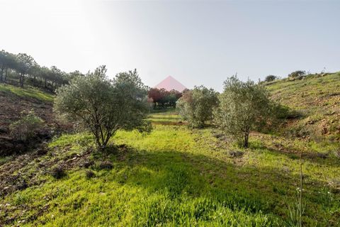 Helårsgrund i Castro Marim, Faro, Castro Marim - € 19.000 | Ref: 216210042 - foto 12