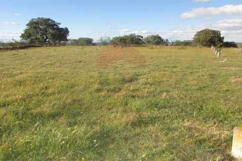 Helårsgrund i Castro Marim, Faro, Castro Marim - € 24.900 | Ref: 216210153 - foto 3