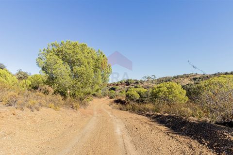 Helårsgrund i Castro Marim, Faro, Castro Marim - € 297.000 | Ref: 216220177 - foto 2
