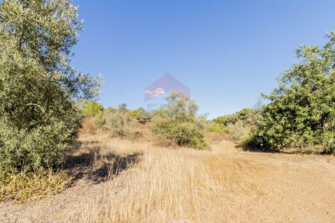 Helårsgrund i Castro Marim, Faro, Castro Marim - € 297.000 | Ref: 216220177 - foto 9