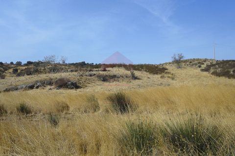 Helårsgrund i Castro Marim, Faro, Castro Marim - € 58.500 | Ref: 216170239 - foto 3
