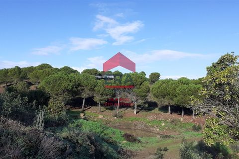 Helårsgrund i Castro Marim, Faro, Castro Marim - € 270.000 | Ref: 216230004 - foto 2