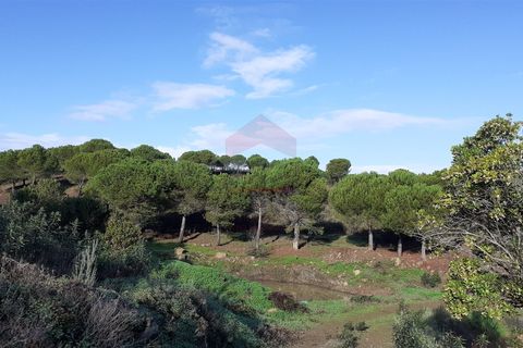 Helårsgrund i Castro Marim, Faro, Castro Marim - € 270.000 | Ref: 216230004 - foto 12