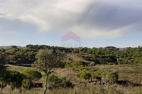 Helårsgrund i Castro Marim, Faro, Castro Marim - € 270.000 | Ref: 216230004 - foto 17