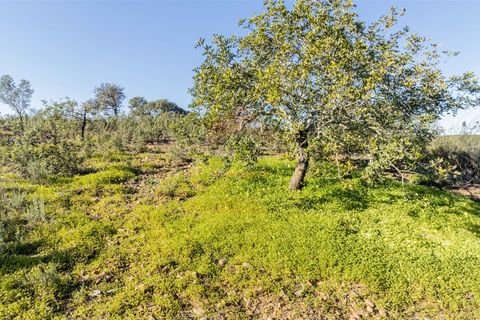 Helårsgrund i Castro Marim, Faro, Castro Marim - € 18.500 | Ref: 216230040 - foto 4