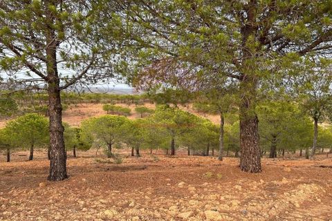 Helårsgrund i Castro Marim, Faro, Castro Marim - € 65.000 | Ref: 216230131 - foto 1