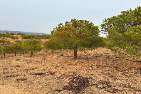 Helårsgrund i Castro Marim, Faro, Castro Marim - € 65.000 | Ref: 216230131 - foto 2