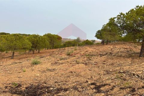Helårsgrund i Castro Marim, Faro, Castro Marim - € 65.000 | Ref: 216230131 - foto 3