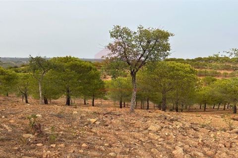 Helårsgrund i Castro Marim, Faro, Castro Marim - € 65.000 | Ref: 216230131 - foto 4