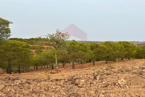 Helårsgrund i Castro Marim, Faro, Castro Marim - € 65.000 | Ref: 216230131 - foto 5