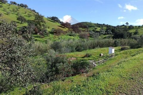 Helårsgrund i Castro Marim, Faro, Castro Marim - € 59.000 | Ref: 216240038 - foto 1