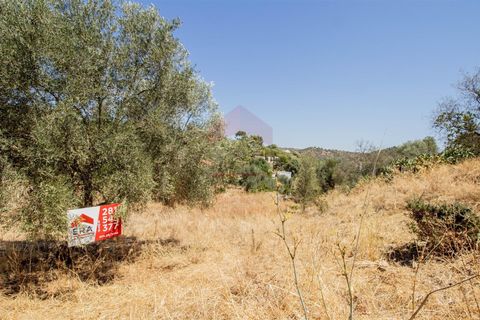 Helårsgrund i Castro Marim, Faro, Castro Marim - € 18.000 | Ref: 216240205 - foto 2