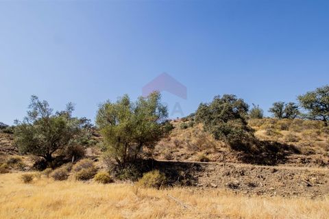 Helårsgrund i Castro Marim, Faro, Castro Marim - € 28.000 | Ref: 216240208 - foto 7