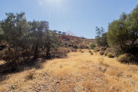 Helårsgrund i Castro Marim, Faro, Castro Marim - € 28.000 | Ref: 216240208 - foto 8