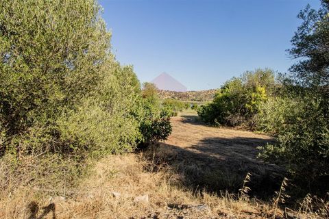Helårsgrund i Castro Marim, Faro, Castro Marim - € 33.000 | Ref: 216240210 - foto 2