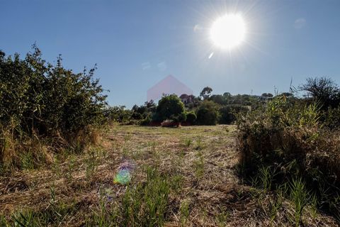 Helårsgrund i Castro Marim, Faro, Castro Marim - € 33.000 | Ref: 216240210 - foto 5