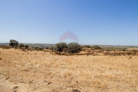 Helårsgrund i Castro Marim, Faro, Castro Marim - € 30.000 | Ref: 216240214 - foto 6
