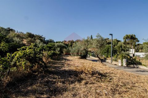 Helårsgrund i Castro Marim, Faro, Castro Marim - € 18.000 | Ref: 216240220 - foto 1